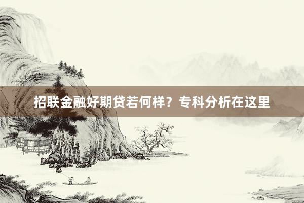 招联金融好期贷若何样？专科分析在这里